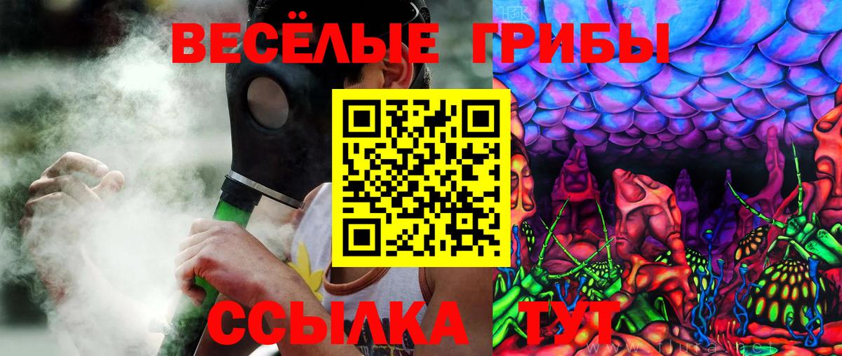 Галлюциногенные грибы мицелий Междуреченск