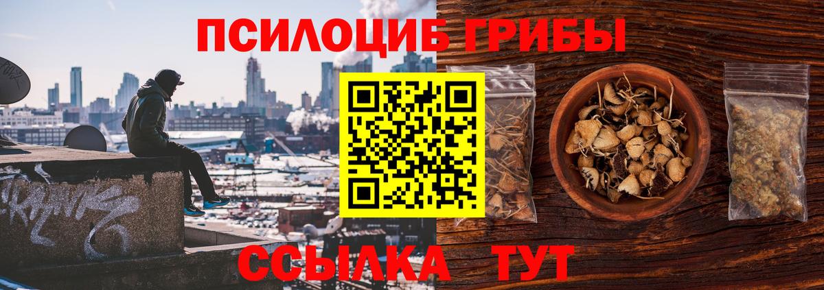 Междуреченск  Псилоцибиновые грибы ЛСД  Галлюциногенные грибы Psilocybine cubensis  Вход с VPN 