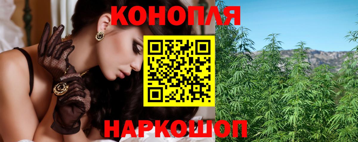 Бошки марихуана OG Kush Междуреченск